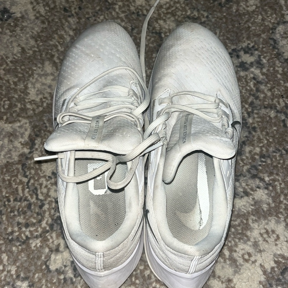 Nike Pegasus